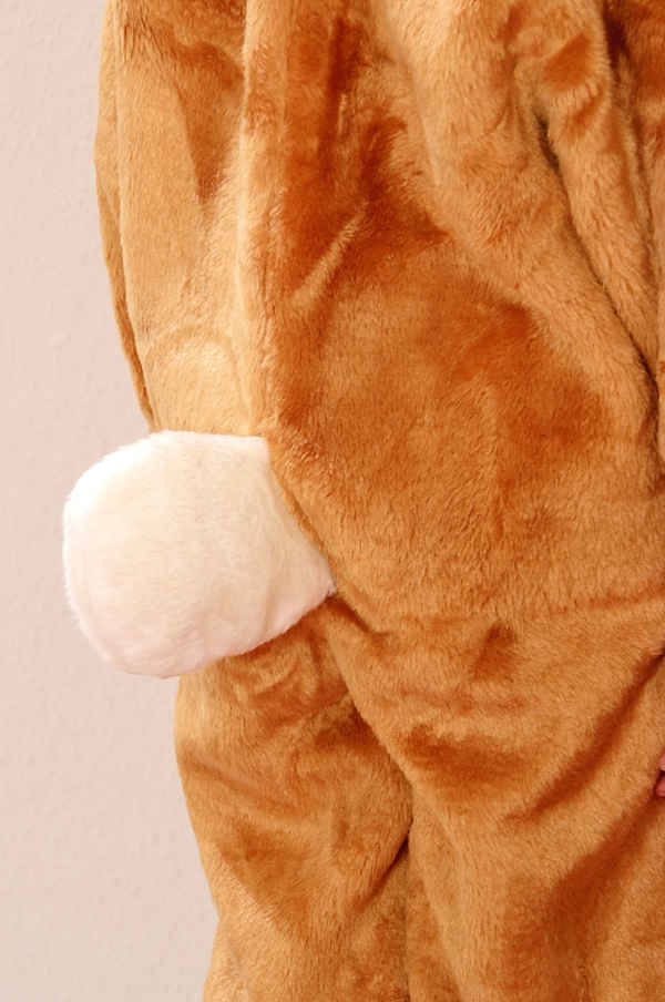 5066-hase-hinten